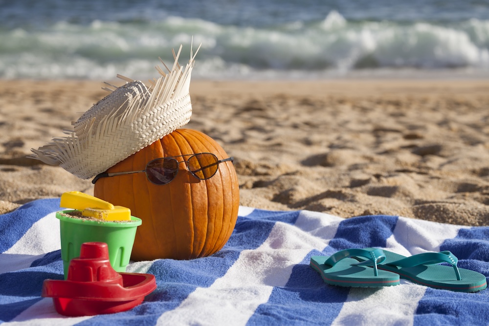 Pumpkin on the beach